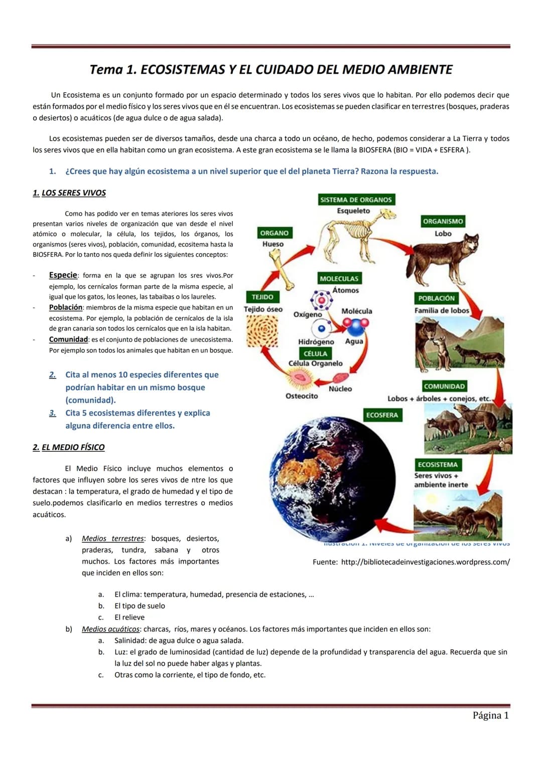 Tema 1. ECOSISTEMAS Y EL CUIDADO DEL MEDIO AMBIENTE
Un Ecosistema es un conjunto formado por un espacio determinado y todos los seres vivos 