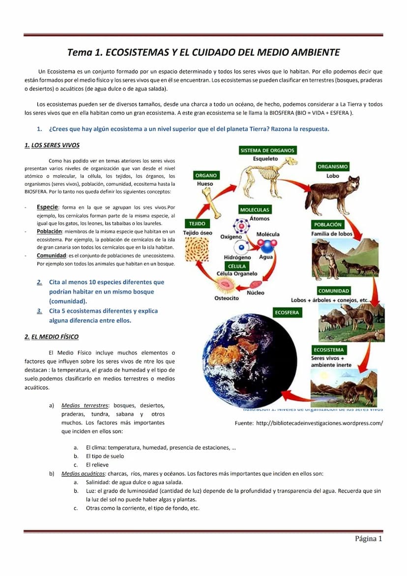 Tema 1. ECOSISTEMAS Y EL CUIDADO DEL MEDIO AMBIENTE
Un Ecosistema es un conjunto formado por un espacio determinado y todos los seres vivos 