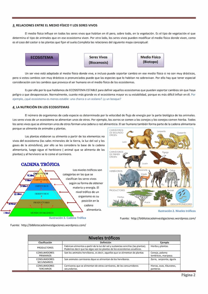 Tema 1. ECOSISTEMAS Y EL CUIDADO DEL MEDIO AMBIENTE
Un Ecosistema es un conjunto formado por un espacio determinado y todos los seres vivos 