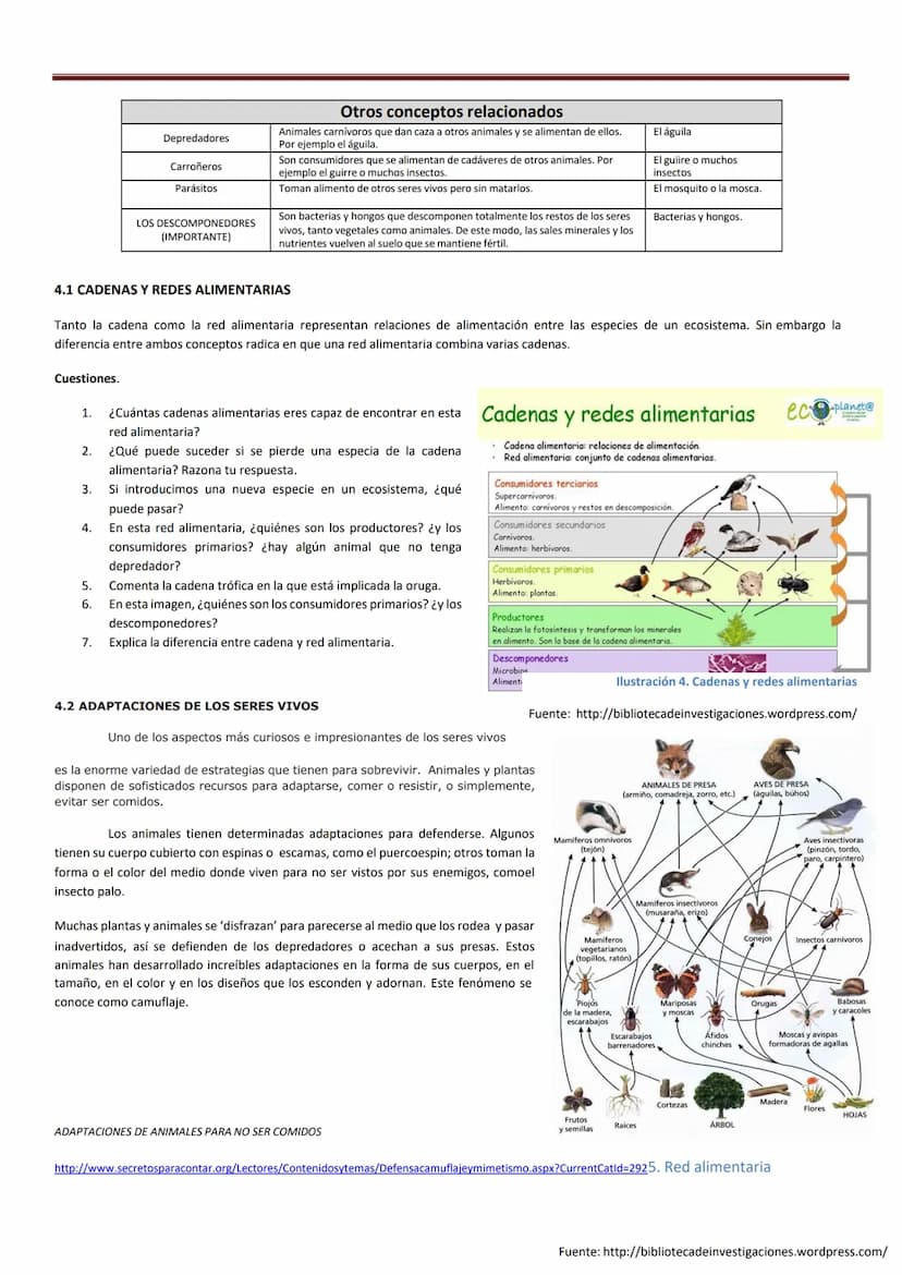 Tema 1. ECOSISTEMAS Y EL CUIDADO DEL MEDIO AMBIENTE
Un Ecosistema es un conjunto formado por un espacio determinado y todos los seres vivos 