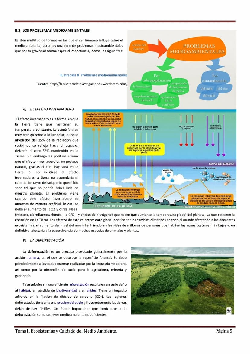 Tema 1. ECOSISTEMAS Y EL CUIDADO DEL MEDIO AMBIENTE
Un Ecosistema es un conjunto formado por un espacio determinado y todos los seres vivos 