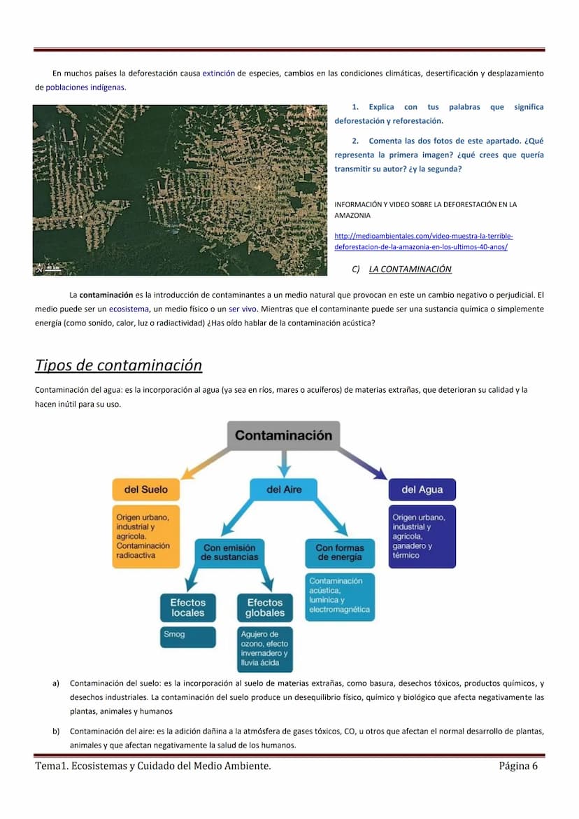 Tema 1. ECOSISTEMAS Y EL CUIDADO DEL MEDIO AMBIENTE
Un Ecosistema es un conjunto formado por un espacio determinado y todos los seres vivos 