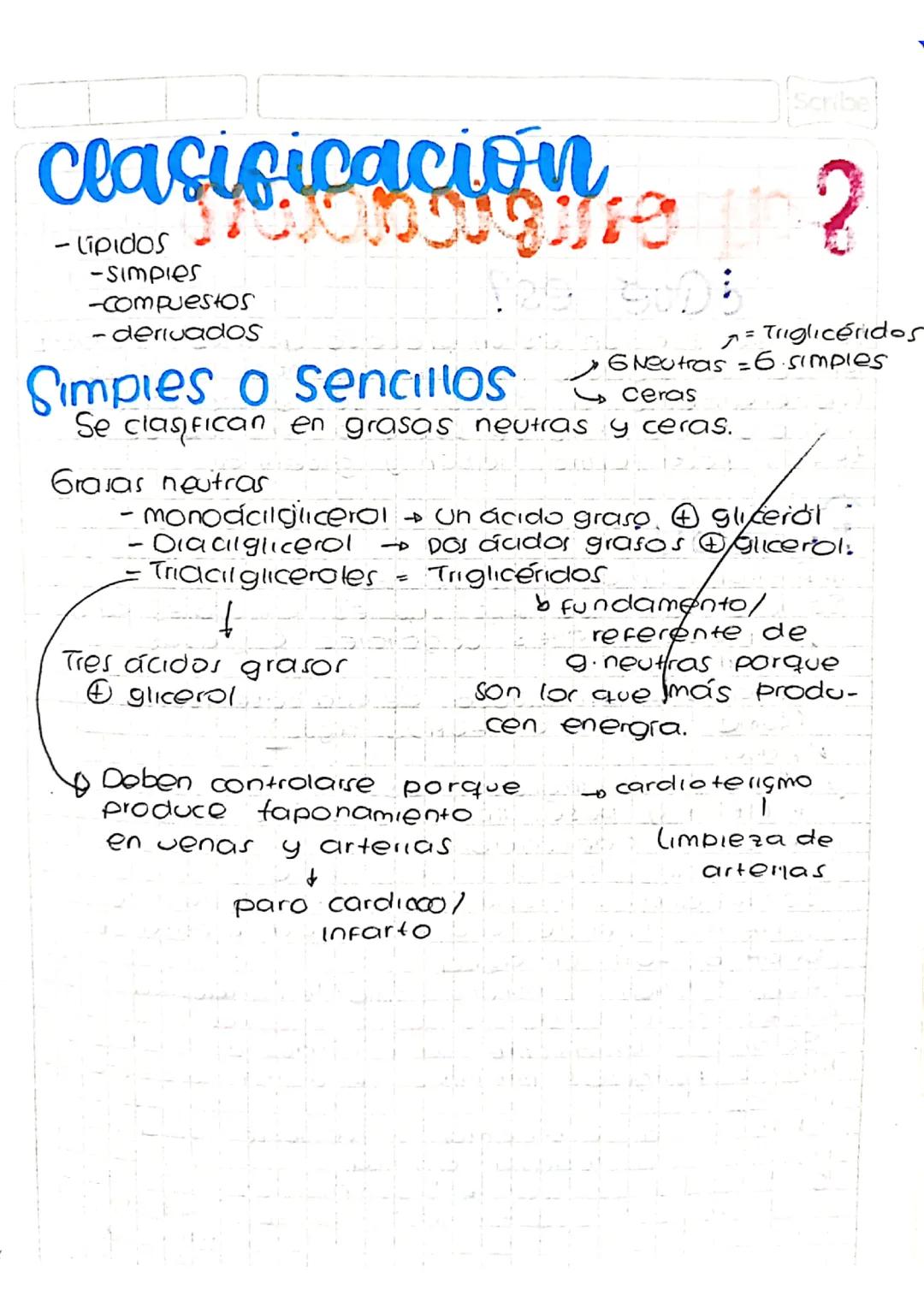 Clasificación de lípidos simples: Definiciones y ejemplos