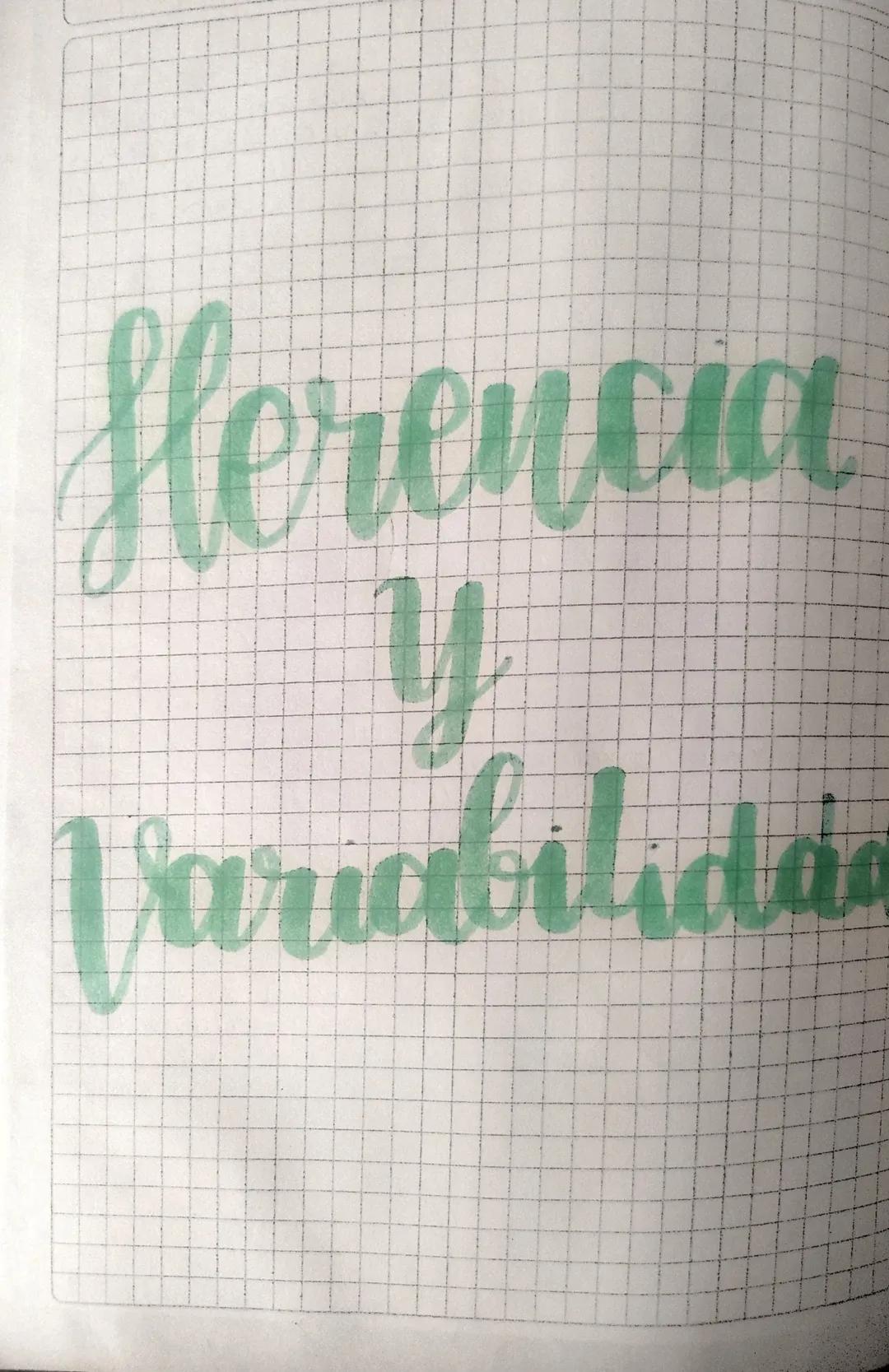 Herencia
y
Variabilidad Clasificación
15
Mutaciones Y Selección Natural
las mutaciones se definen como cualquier cambio en el ADN de
una cel