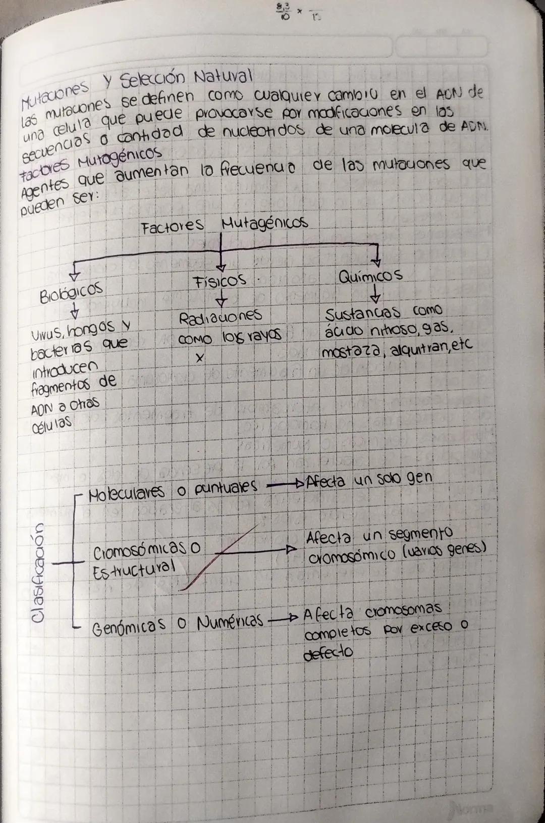 Herencia
y
Variabilidad Clasificación
15
Mutaciones Y Selección Natural
las mutaciones se definen como cualquier cambio en el ADN de
una cel