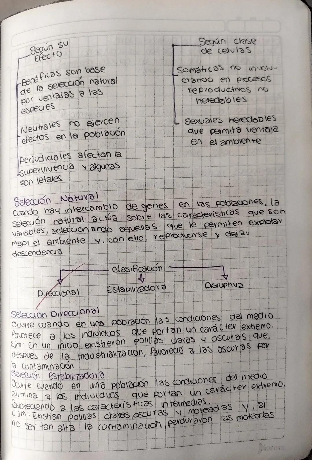 Herencia
y
Variabilidad Clasificación
15
Mutaciones Y Selección Natural
las mutaciones se definen como cualquier cambio en el ADN de
una cel