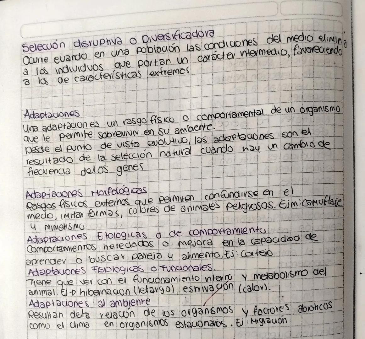 Herencia
y
Variabilidad Clasificación
15
Mutaciones Y Selección Natural
las mutaciones se definen como cualquier cambio en el ADN de
una cel