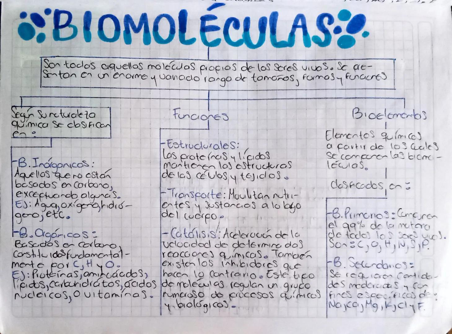 BIOMOLÉCULAS
Son todos aquellos moléculas propios de los seres vivos. Se are-
de tomoños, formasy funciones
Sentan en un enorme
Sean Sunetur