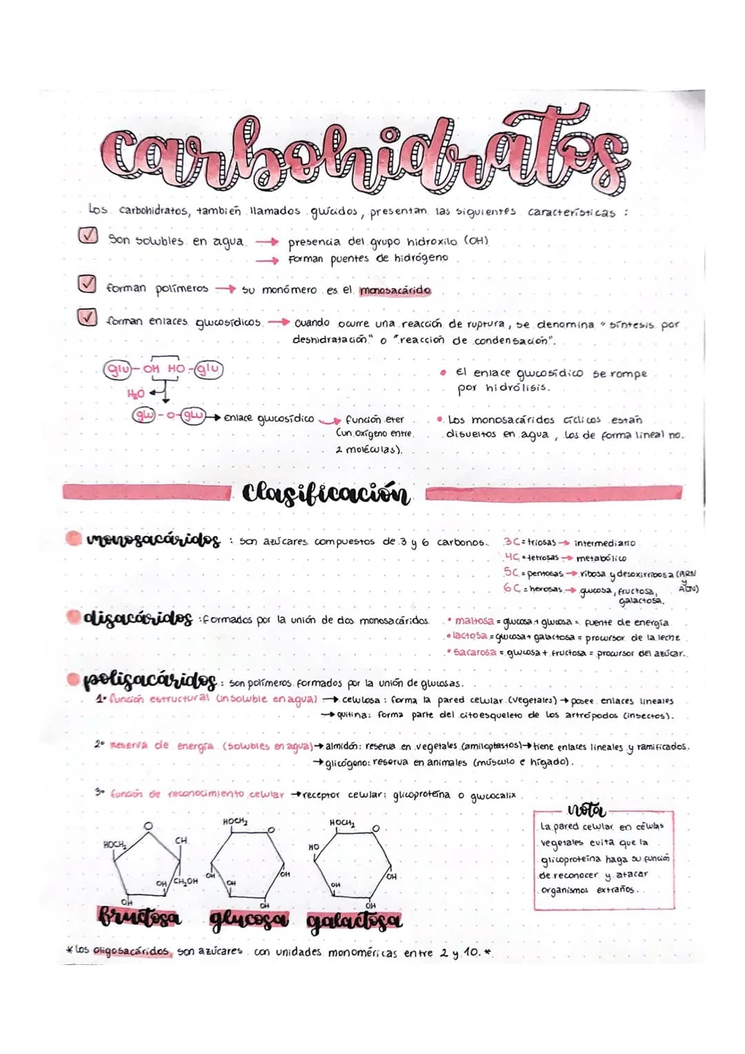 QUIMICA: CARBOHIDRATOS 