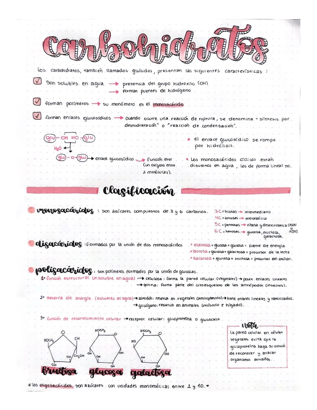 carbohidrates
Los carbohidratos, tambien llamados gucidos, presentan las siguientes características:
✓ Son solubles en agua
presencia del gr