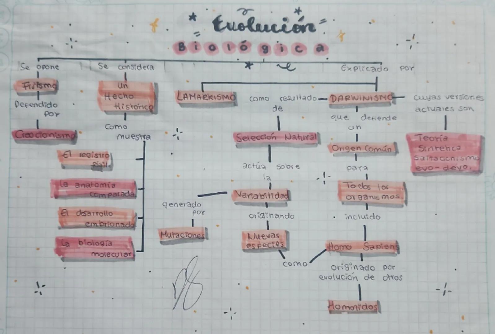 f.
* Evolución
Βίοιό
8
ca

Se opone
1
Futoma
Defendido
1
POY
Creo cionismo

Se considera
1
Un
Hecho
Histórico
1
Como
El registrol
fos
muestr