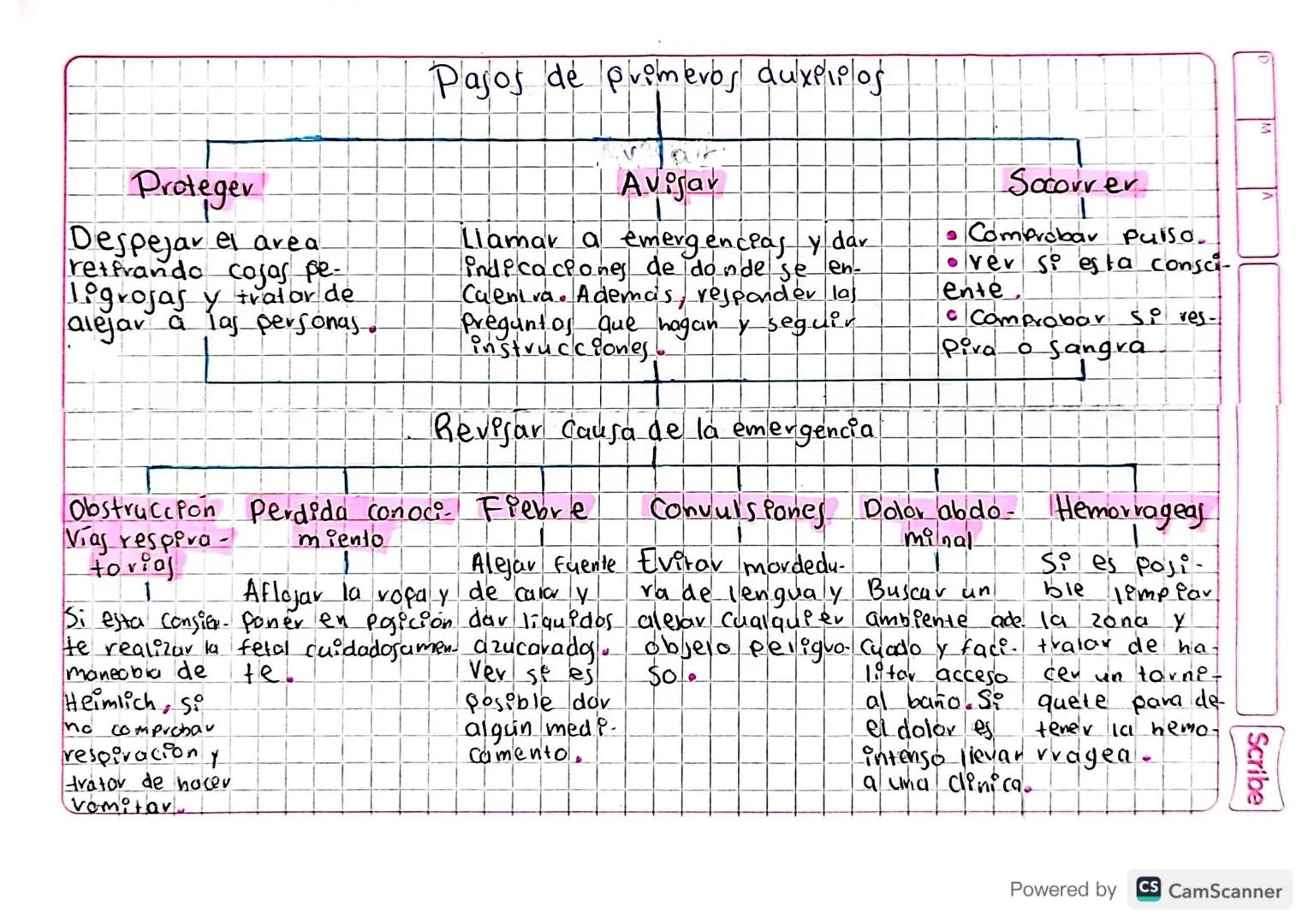 Primeros Auxiliog

1 pago: Proteger que se alejen.

2 pago: Avisar

3 pajo: Decer el estado

9

Powered by
CS CamScanner ### 3

### <

### P