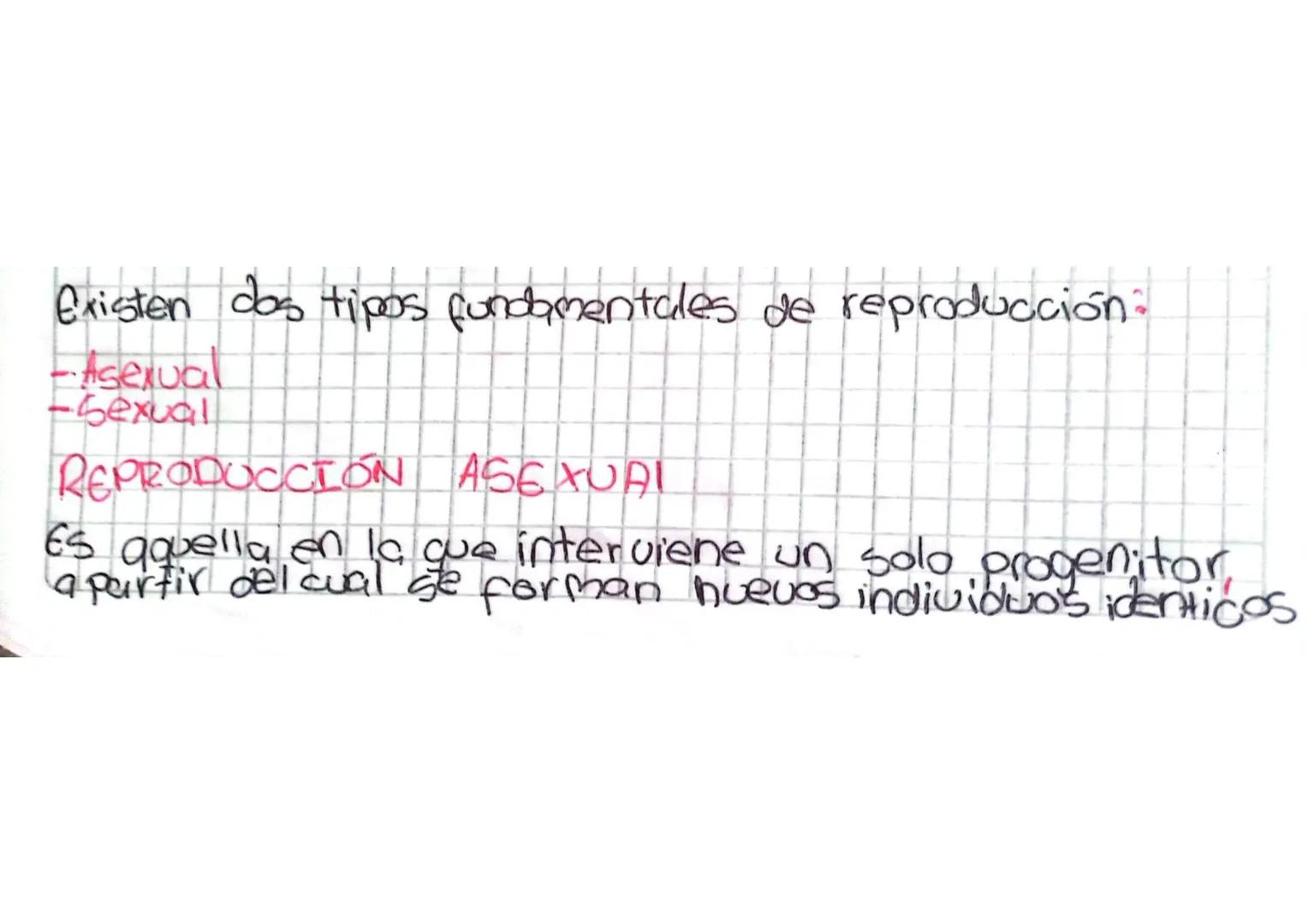Existen das tipos fundamentales de reproducción:
-Asexual
-Sexual
REPRODUCCIÓN ASEXUAL
Es aquella en la que interviene un solo progenitor
a 