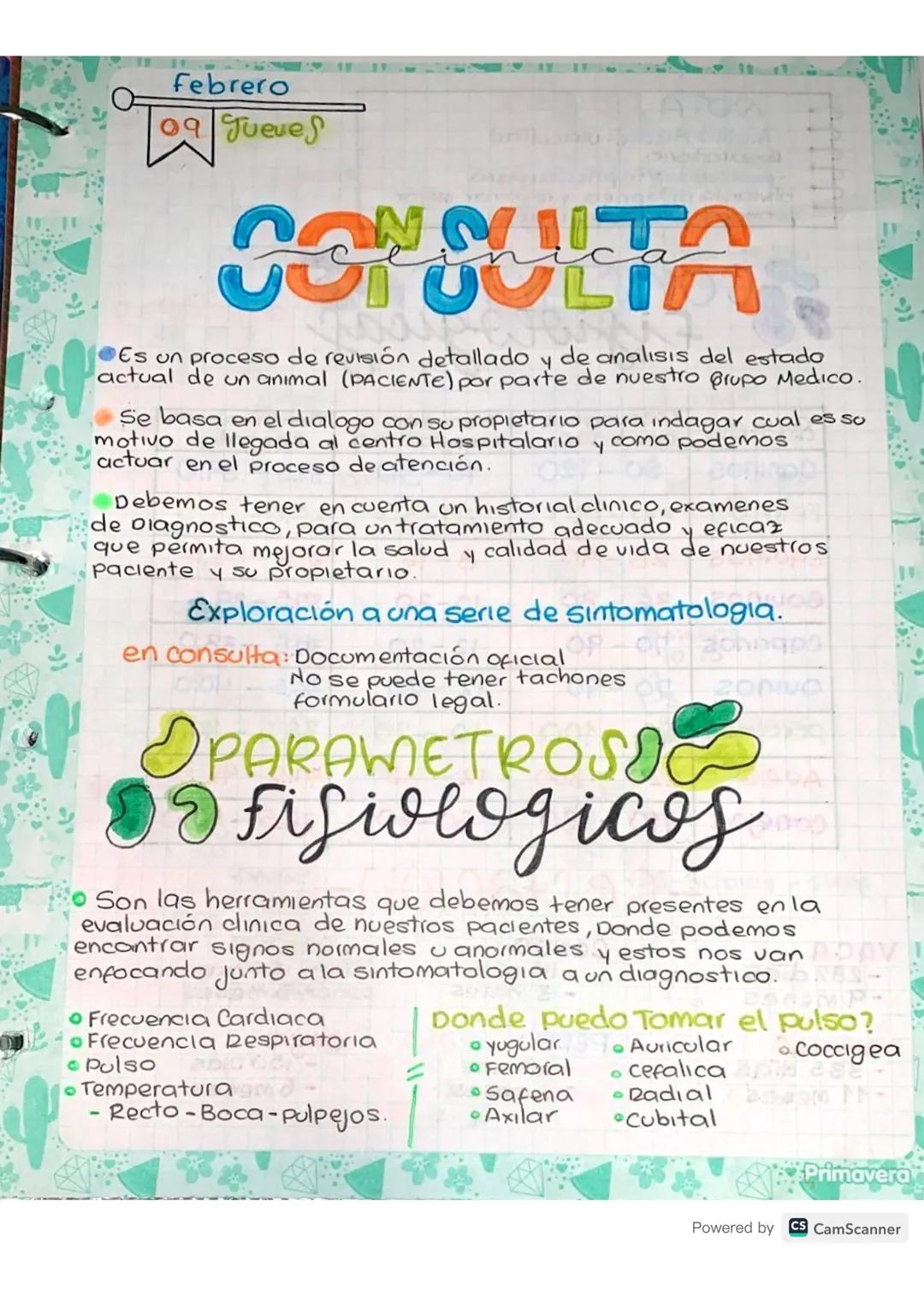 Guía Fácil: Constantes Fisiológicas en Perros y Gatos PDF