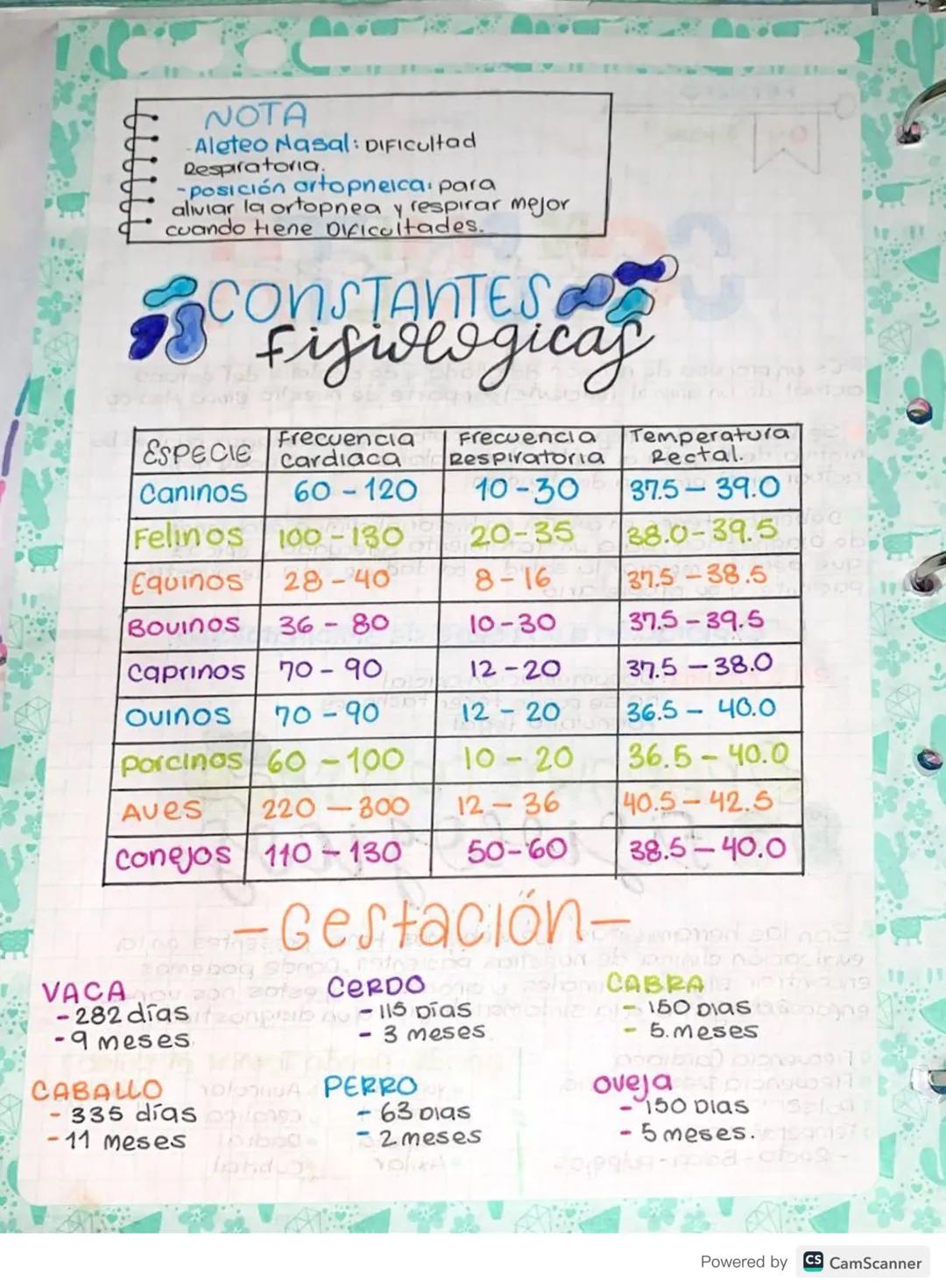 Febrero
09 Jueves
CONSULTA
Es un proceso de revisión detallado y de analisis del estado
actual de un animal (PACIENTE) por parte de nuestro 