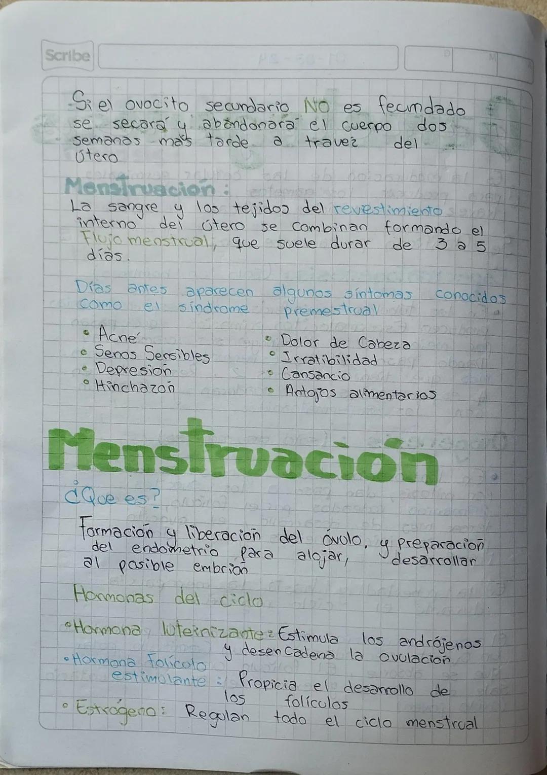 Scribe

Si el ovocito secundario No es fecmdado
se secara y abandonara el cuerpo dos
semanas mas tarde. a travez del
Utero

Menstruación:
La