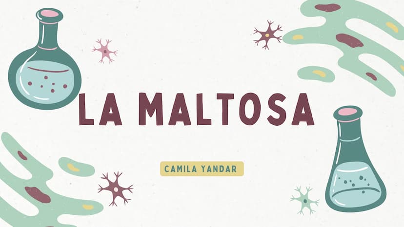 LA MALTOSA
*
CAMILA YANDAR HOCH2
HOCH2
DISACARIDOS
Es un tipo de glúcido que se origina
por
la unión o condensación de dos
monosacáridos. Se