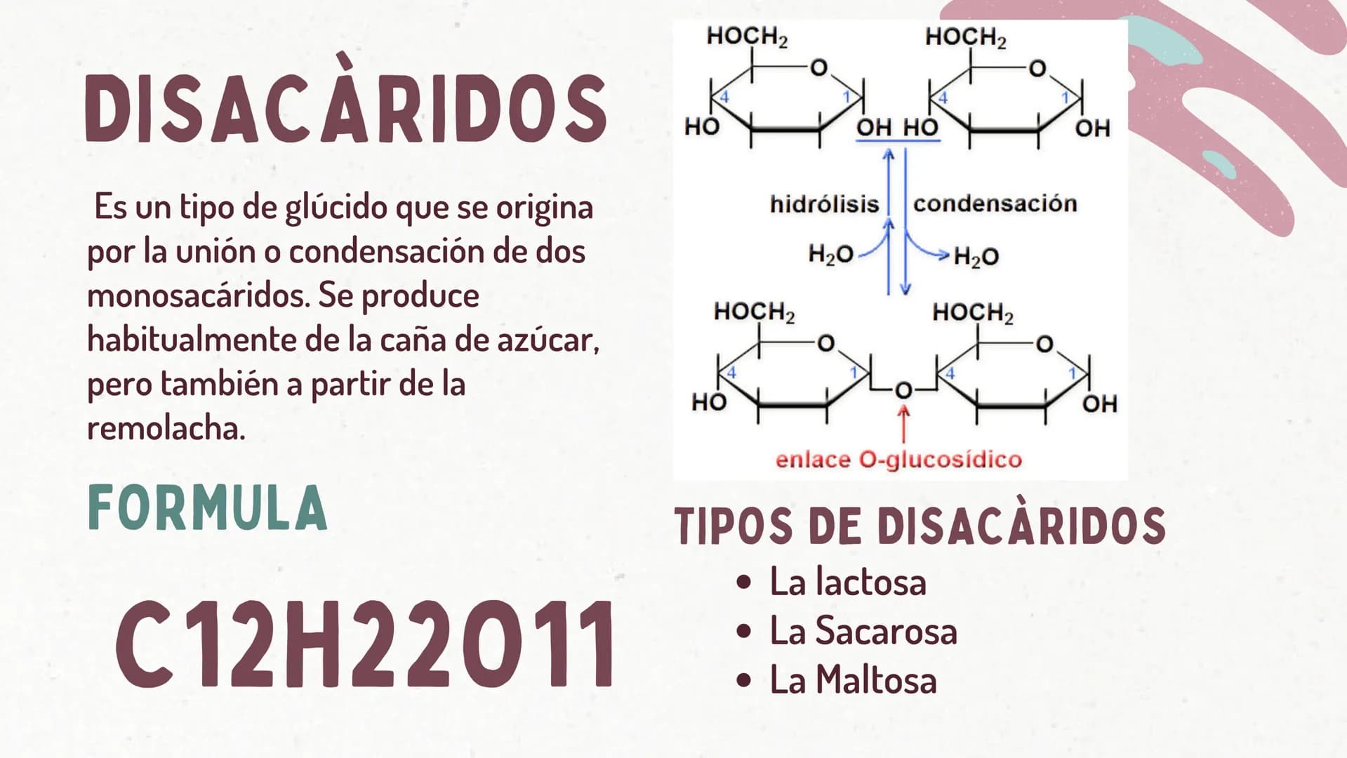 LA MALTOSA
*
CAMILA YANDAR HOCH2
HOCH2
DISACARIDOS
Es un tipo de glúcido que se origina
por
la unión o condensación de dos
monosacáridos. Se