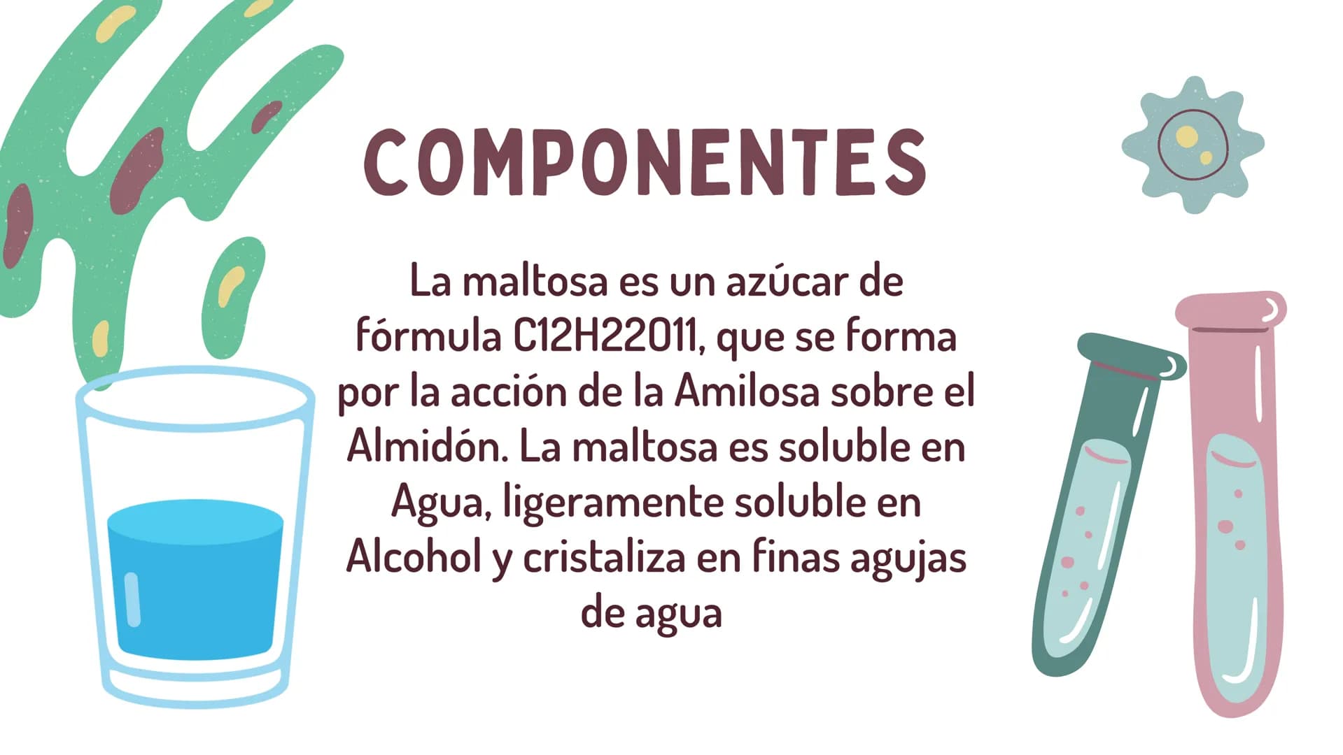 LA MALTOSA
*
CAMILA YANDAR HOCH2
HOCH2
DISACARIDOS
Es un tipo de glúcido que se origina
por
la unión o condensación de dos
monosacáridos. Se