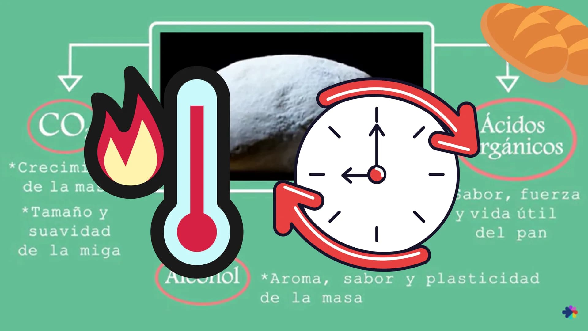 LA MALTOSA
*
CAMILA YANDAR HOCH2
HOCH2
DISACARIDOS
Es un tipo de glúcido que se origina
por
la unión o condensación de dos
monosacáridos. Se