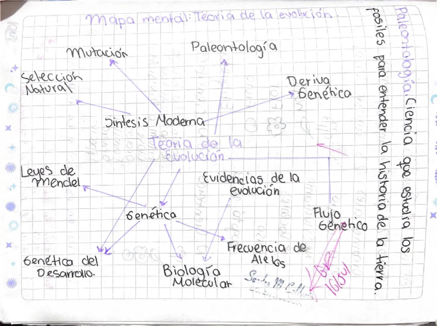 Paleontología Ciencia que estudia los
fosiles para entender la historia de la tierra.

Mapa mental: Teoria de la evolución

Paleontología

M
