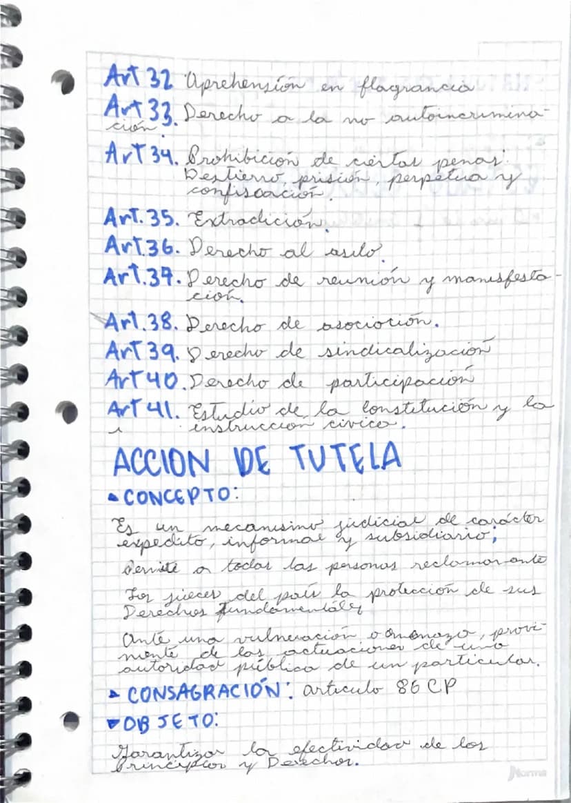 CONSTITUCIÓN POLÍTICA DE
COLOMBIA
-ASAMBLEA NACIONAL CONSTITUYENTE EN 1991
Antegrado por 70 miembros elegidor por
voto popular, durante la p