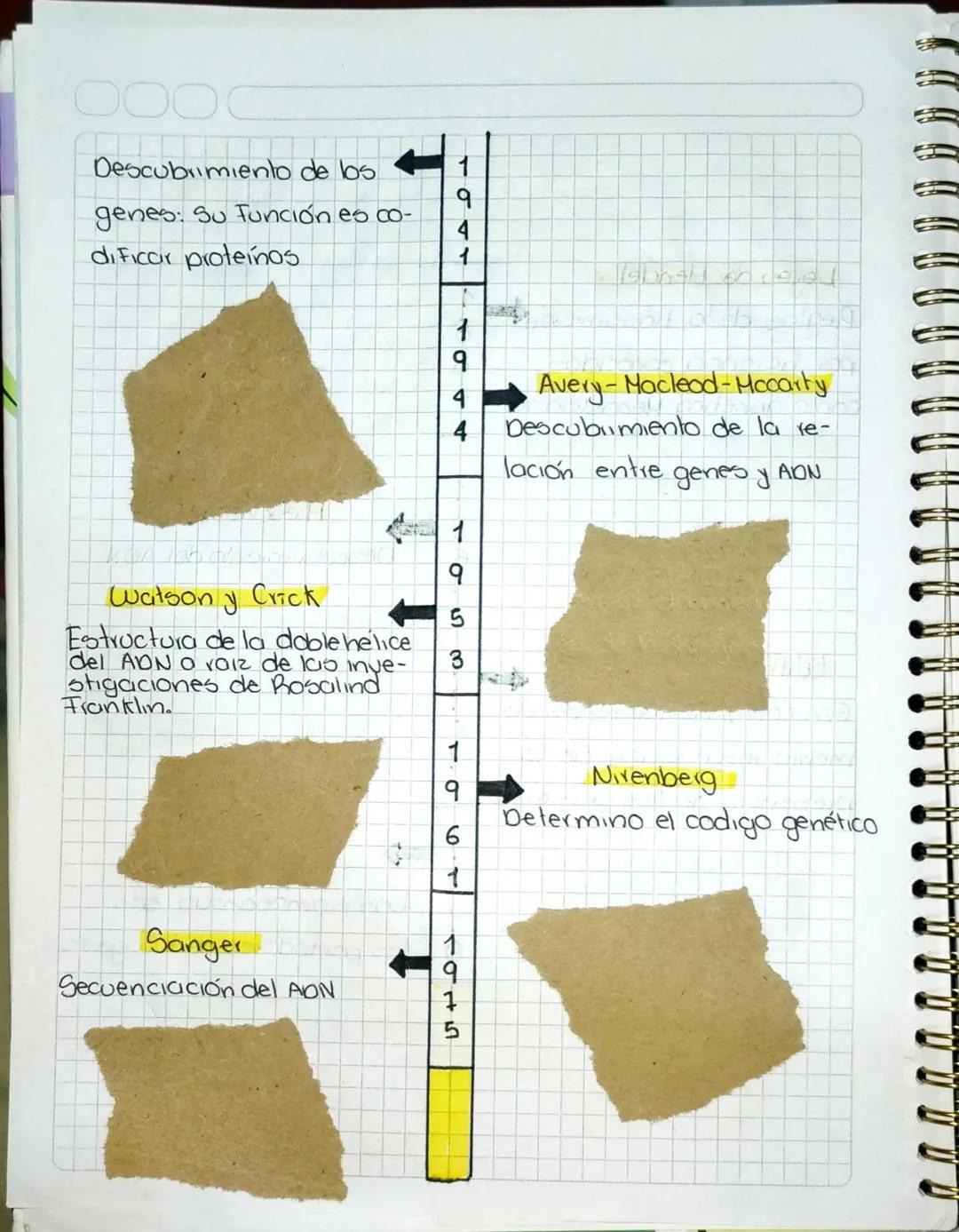 Leyes de Hendel
Reglas de la transmisión
por herencia conocidas
como genetica Hendeleiana
100006
Hiescher
Descubrimiento del ADN
1860
τσοσ
W