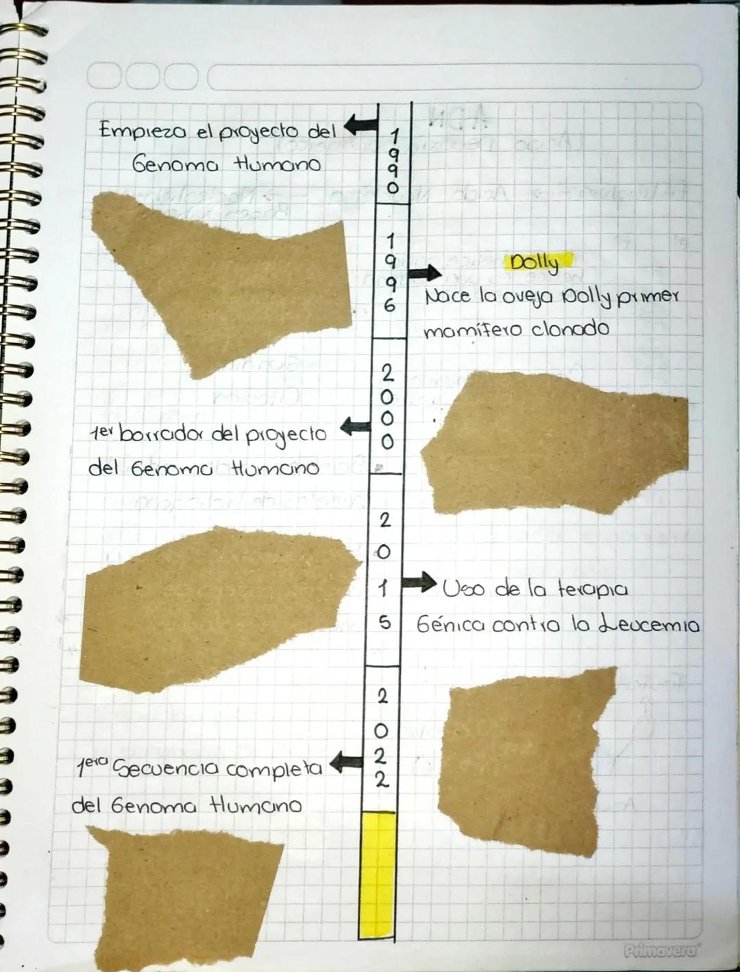 Leyes de Hendel
Reglas de la transmisión
por herencia conocidas
como genetica Hendeleiana
100006
Hiescher
Descubrimiento del ADN
1860
τσοσ
W
