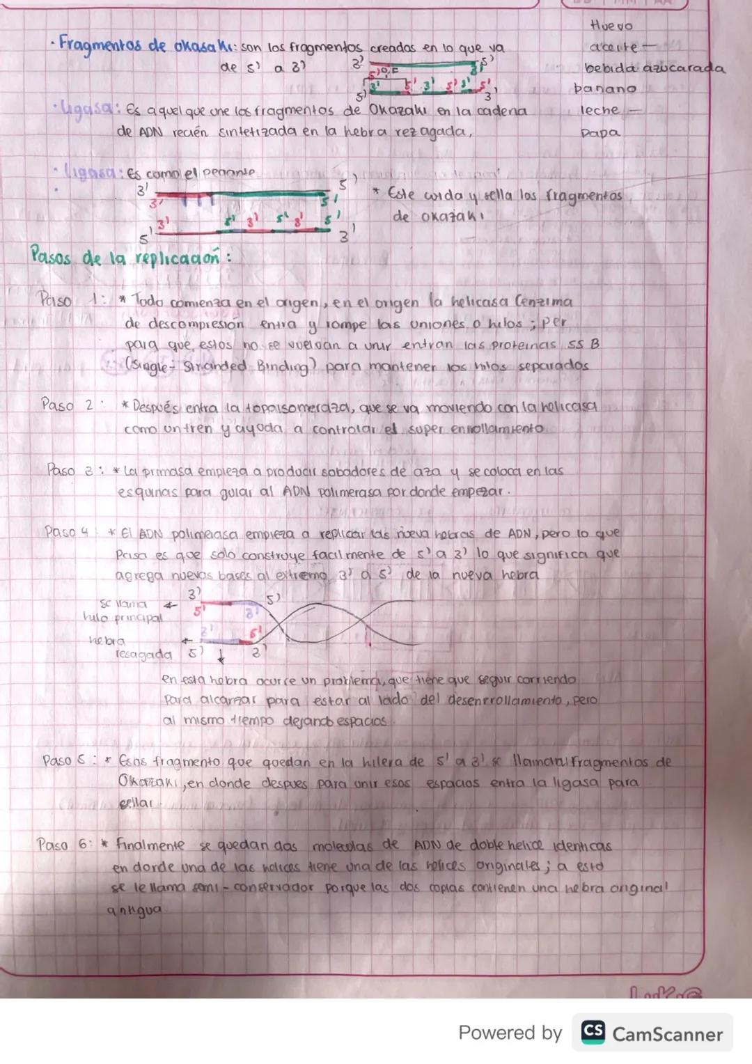 # Funciones de las enzimas.
* Estructurales: colageno o membrana
* Enzimaticas: (e-
* Hormonageno (e-
* Defensivas (e) -
* Transporte: (e-em
