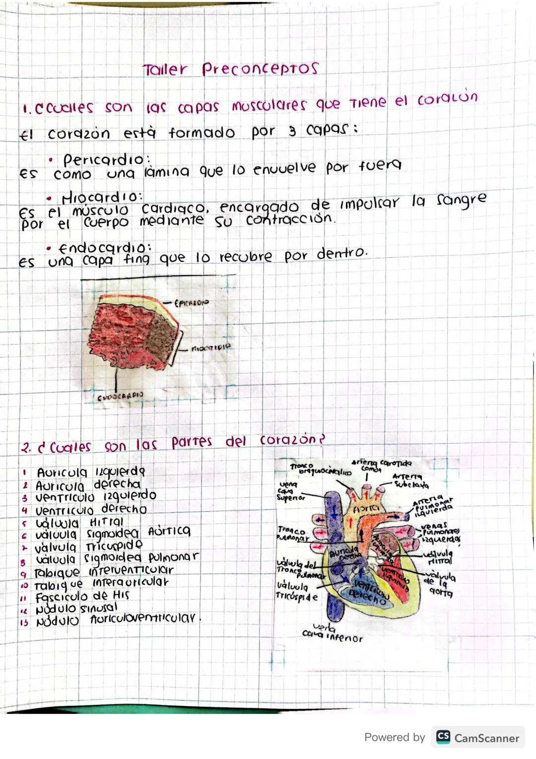 Taller Preconceptos de cardiología básica veterinaria 