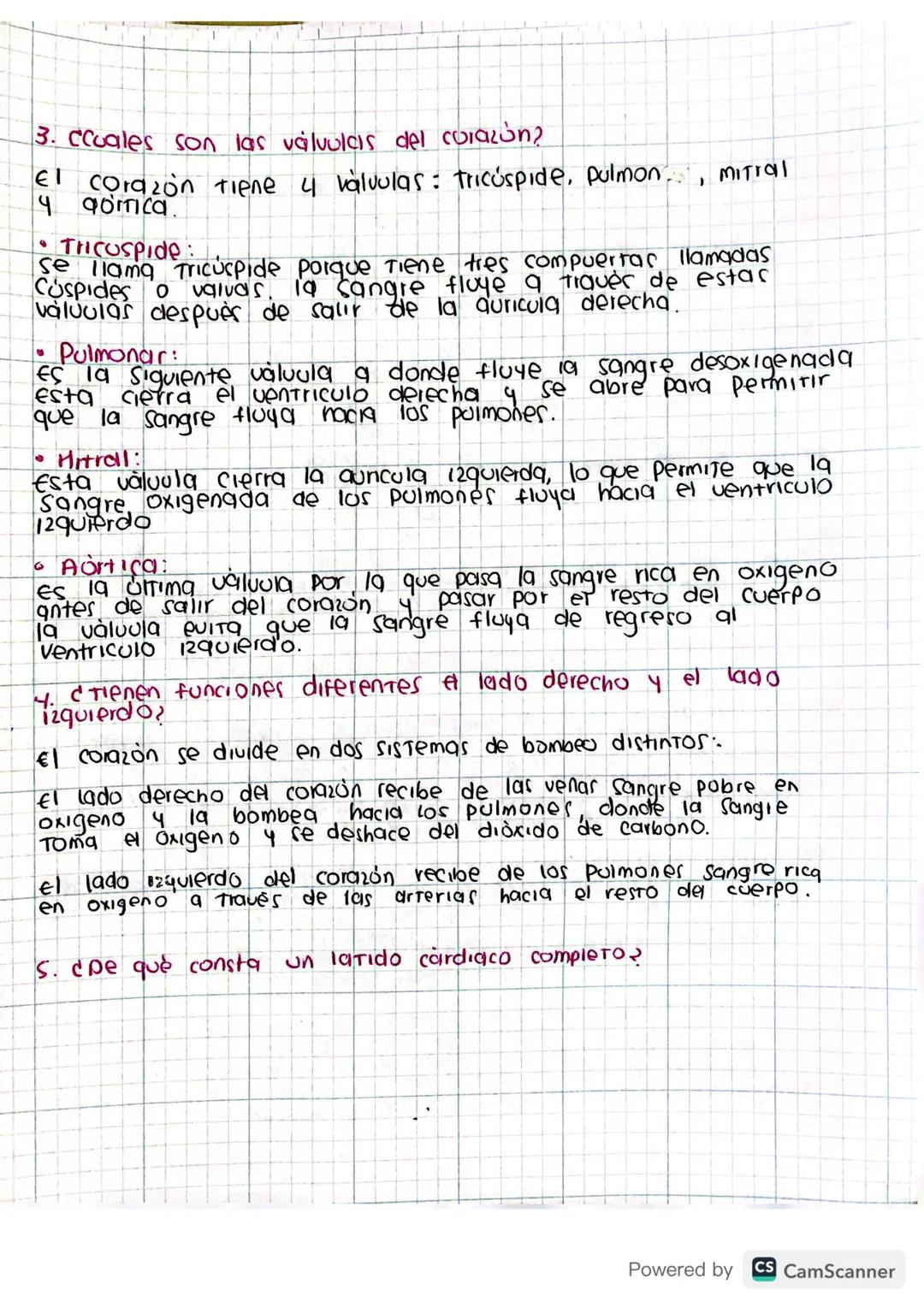 Tailer Preconceptos
1. C cuales son las capas musculares que tiene el coralon
€1
ES
Corazón está formado por 3 capas:
Pericardio:
Como una l