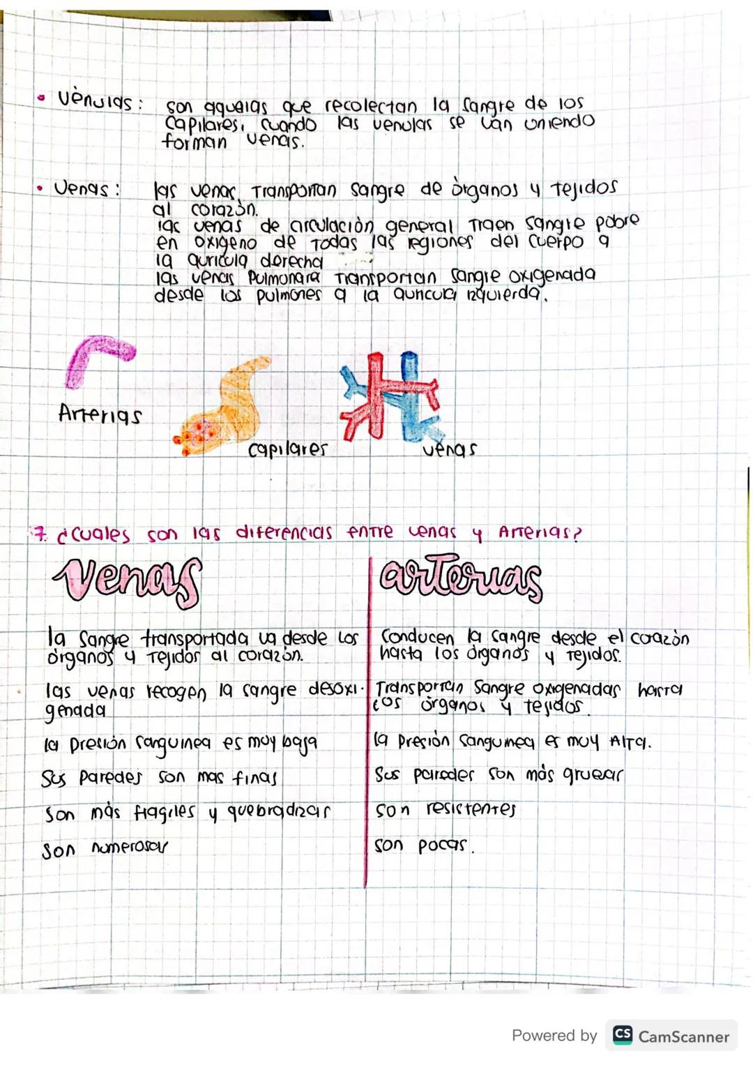 Tailer Preconceptos
1. C cuales son las capas musculares que tiene el coralon
€1
ES
Corazón está formado por 3 capas:
Pericardio:
Como una l