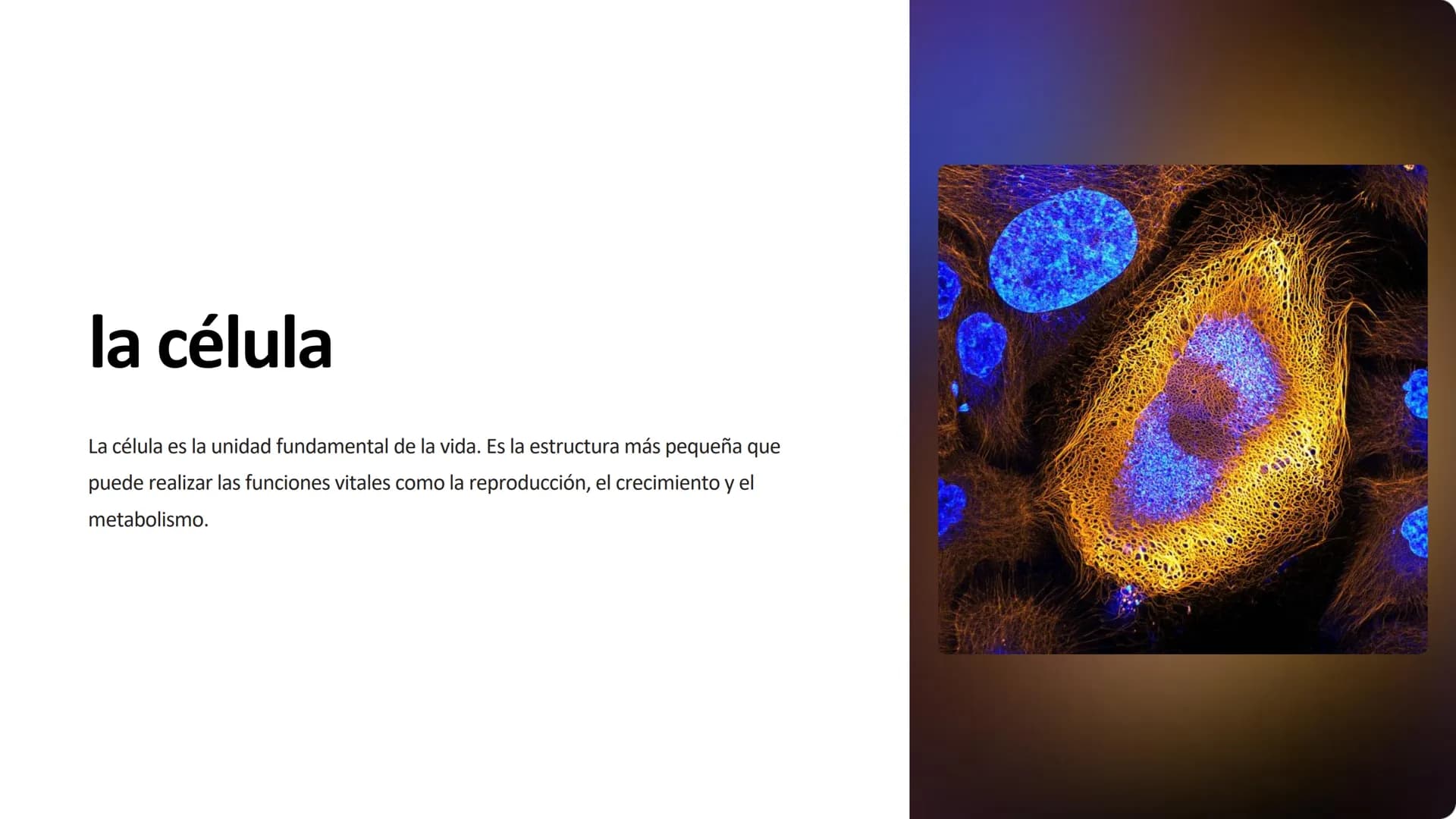 la célula
La célula es la unidad fundamental de la vida. Es la estructura más pequeña que
puede realizar las funciones vitales como la repro