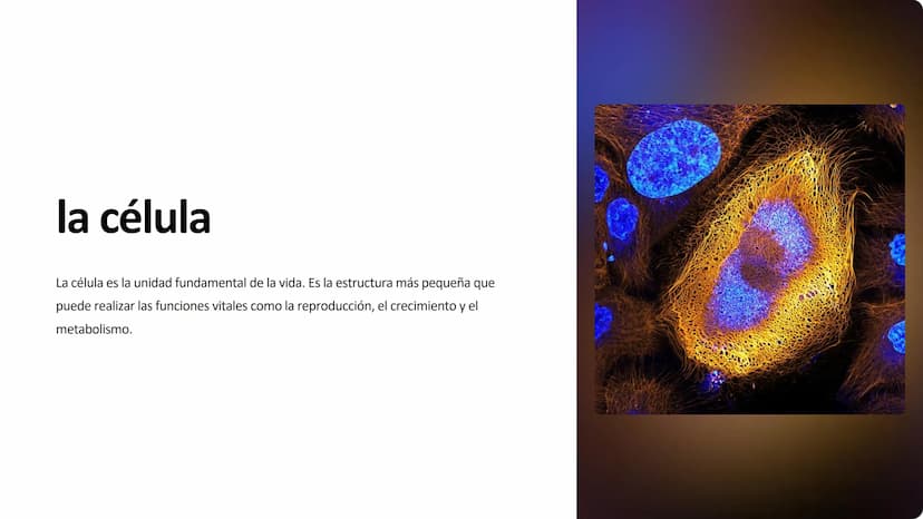 la célula
La célula es la unidad fundamental de la vida. Es la estructura más pequeña que
puede realizar las funciones vitales como la repro
