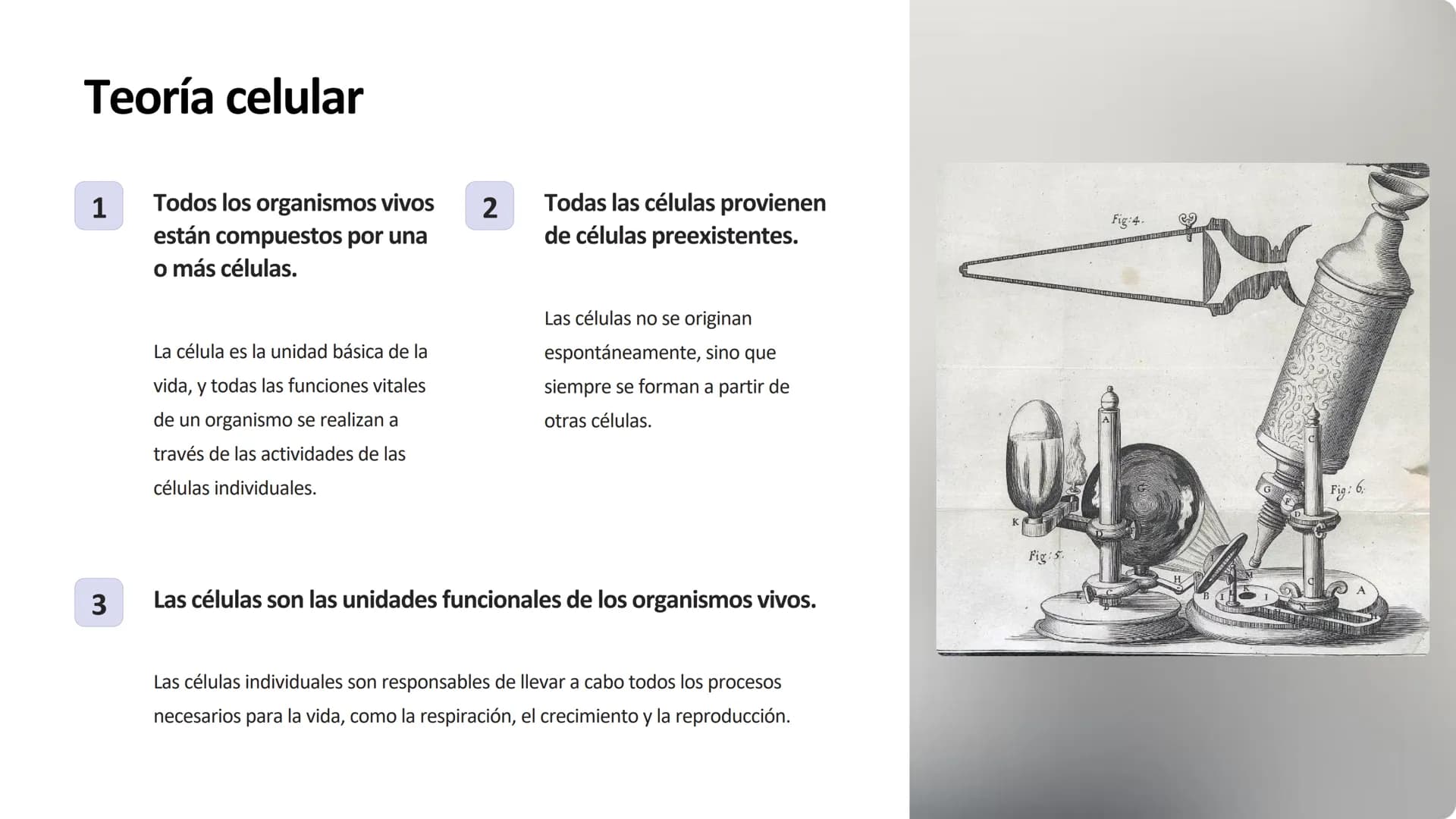la célula
La célula es la unidad fundamental de la vida. Es la estructura más pequeña que
puede realizar las funciones vitales como la repro