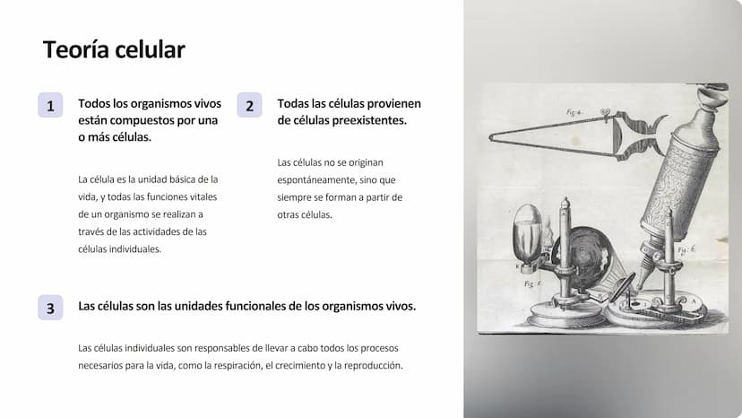 la célula
La célula es la unidad fundamental de la vida. Es la estructura más pequeña que
puede realizar las funciones vitales como la repro