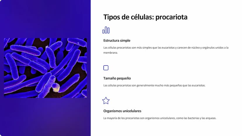 la célula
La célula es la unidad fundamental de la vida. Es la estructura más pequeña que
puede realizar las funciones vitales como la repro