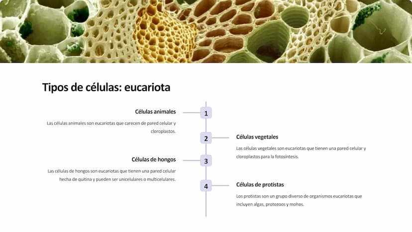 la célula
La célula es la unidad fundamental de la vida. Es la estructura más pequeña que
puede realizar las funciones vitales como la repro