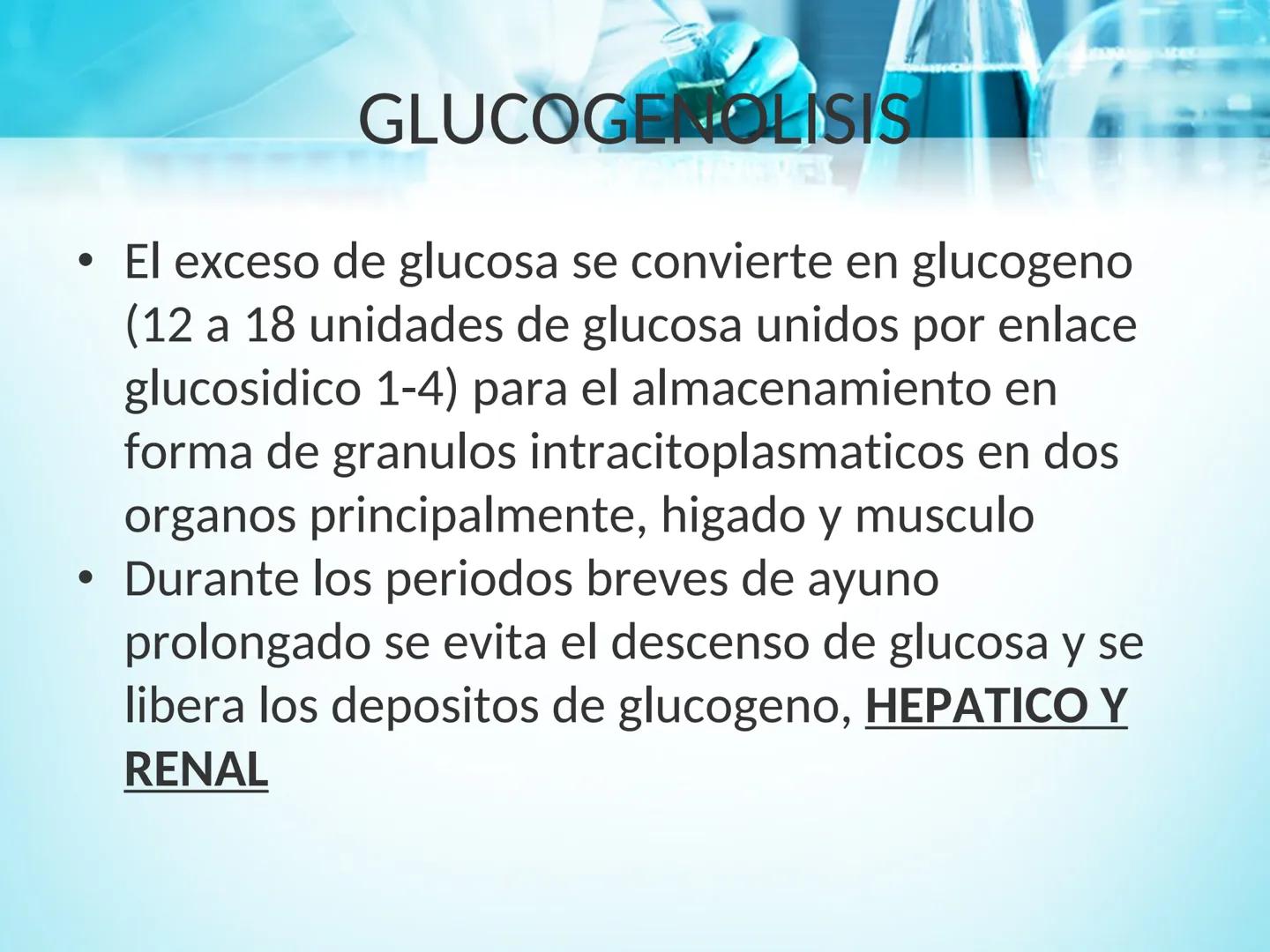 METABOLISMO DE LA
GLUCOSA

ROY FERNANDO ZAMBRANA POMA
BIOQUIMICO (MENCION EN BIOQUIMICA
CLINICA)
CATEDRA DE BIOQUIMICA

LA PAZ, BOLIVIA # GL