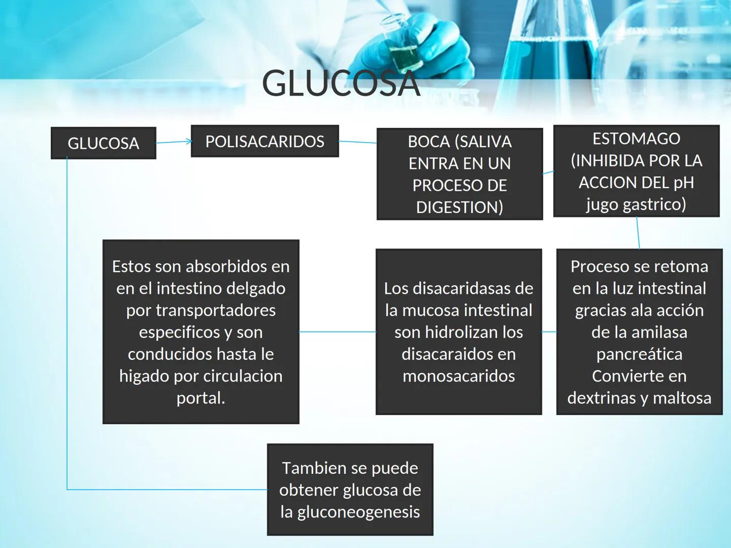 METABOLISMO DE LA
GLUCOSA

ROY FERNANDO ZAMBRANA POMA
BIOQUIMICO (MENCION EN BIOQUIMICA
CLINICA)
CATEDRA DE BIOQUIMICA

LA PAZ, BOLIVIA # GL