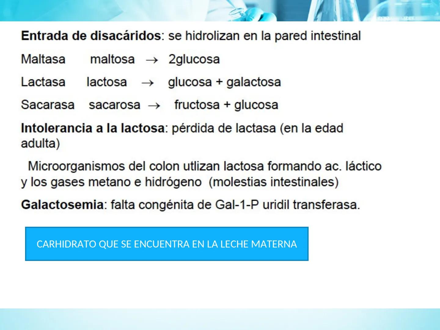 METABOLISMO DE LA
GLUCOSA

ROY FERNANDO ZAMBRANA POMA
BIOQUIMICO (MENCION EN BIOQUIMICA
CLINICA)
CATEDRA DE BIOQUIMICA

LA PAZ, BOLIVIA # GL