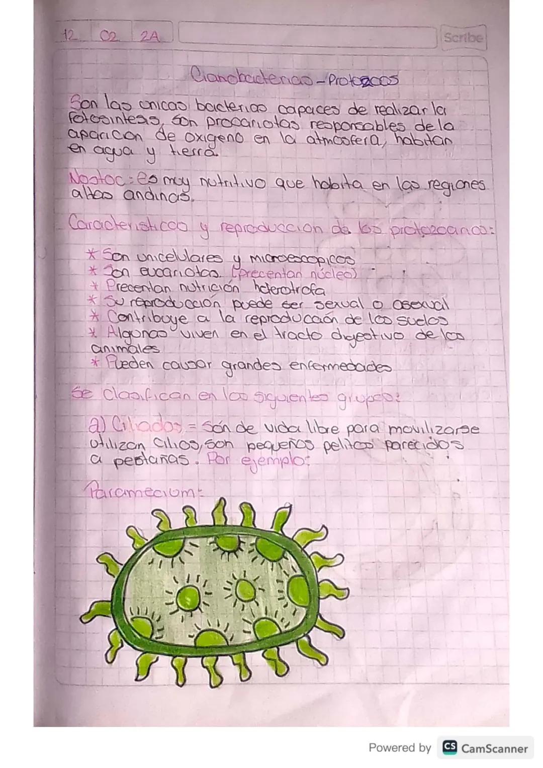 12. 02. 2A

Clanobadenas-Protogoos
Scribe
Son las unicas bacterias capaces de realizar la
Fotosintesis, son procariotas responsables de la
a