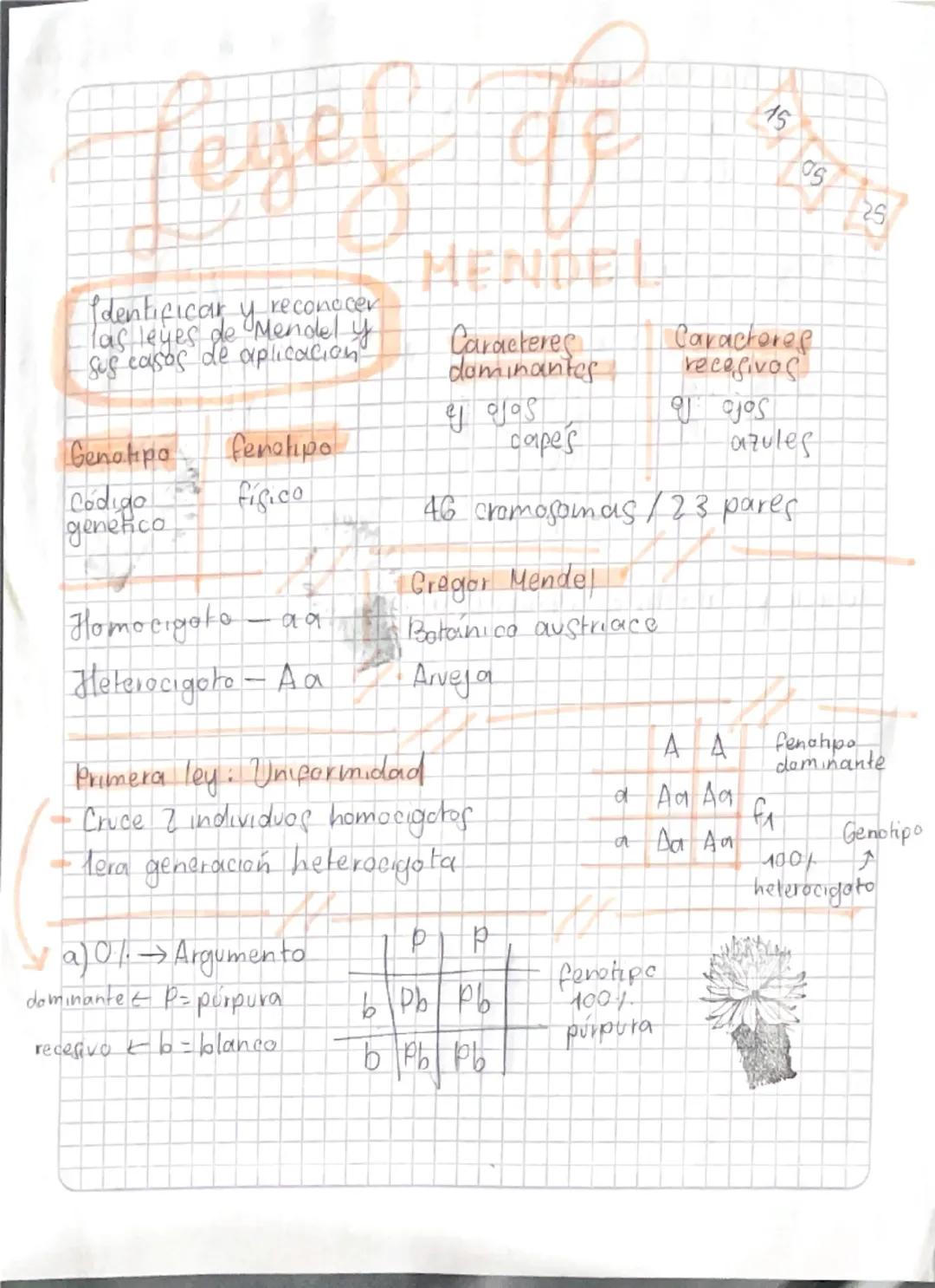 Material de estudio icfes