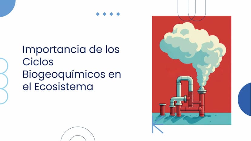 Importancia de los
Ciclos
Biogeoquímicos en
el Ecosistema Introducción
Los ciclos biogeoquímicos son procesos fundamentales
para el equilibr