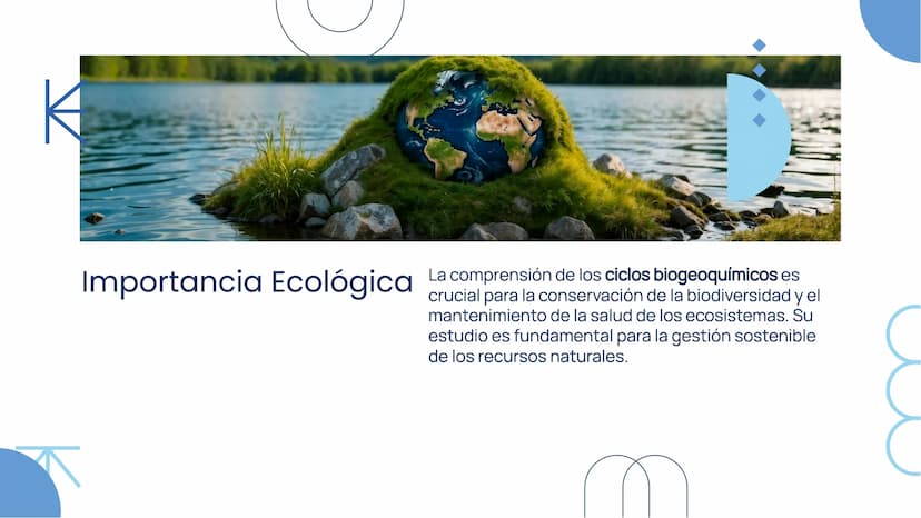 Importancia de los
Ciclos
Biogeoquímicos en
el Ecosistema Introducción
Los ciclos biogeoquímicos son procesos fundamentales
para el equilibr