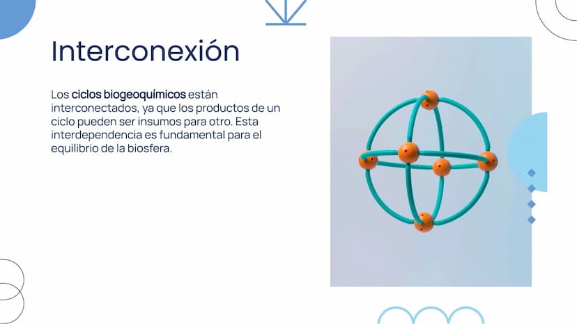 Importancia de los
Ciclos
Biogeoquímicos en
el Ecosistema Introducción
Los ciclos biogeoquímicos son procesos fundamentales
para el equilibr