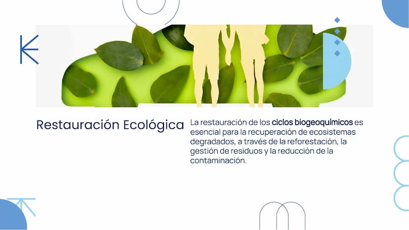 Importancia de los
Ciclos
Biogeoquímicos en
el Ecosistema Introducción
Los ciclos biogeoquímicos son procesos fundamentales
para el equilibr