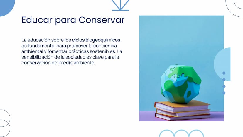 Importancia de los
Ciclos
Biogeoquímicos en
el Ecosistema Introducción
Los ciclos biogeoquímicos son procesos fundamentales
para el equilibr