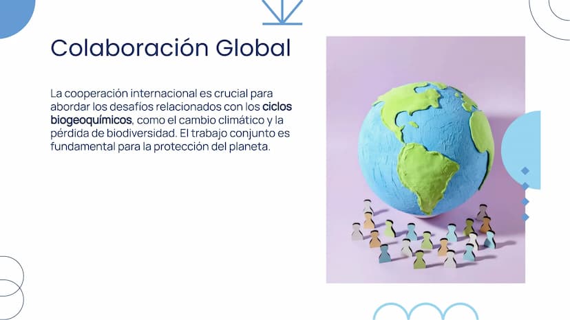 Importancia de los
Ciclos
Biogeoquímicos en
el Ecosistema Introducción
Los ciclos biogeoquímicos son procesos fundamentales
para el equilibr