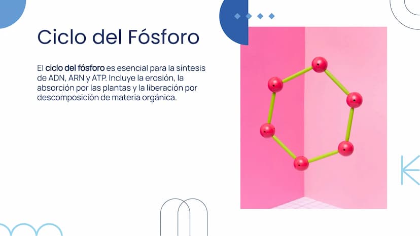 Importancia de los
Ciclos
Biogeoquímicos en
el Ecosistema Introducción
Los ciclos biogeoquímicos son procesos fundamentales
para el equilibr